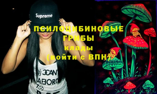 тгк Володарск