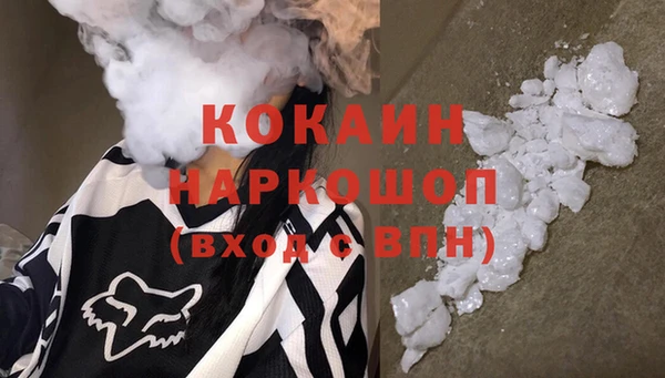 твердый Вяземский