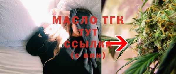 твердый Вяземский