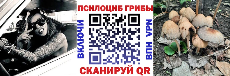 Галлюциногенные грибы мухоморы  дарнет шоп  Заозёрск 